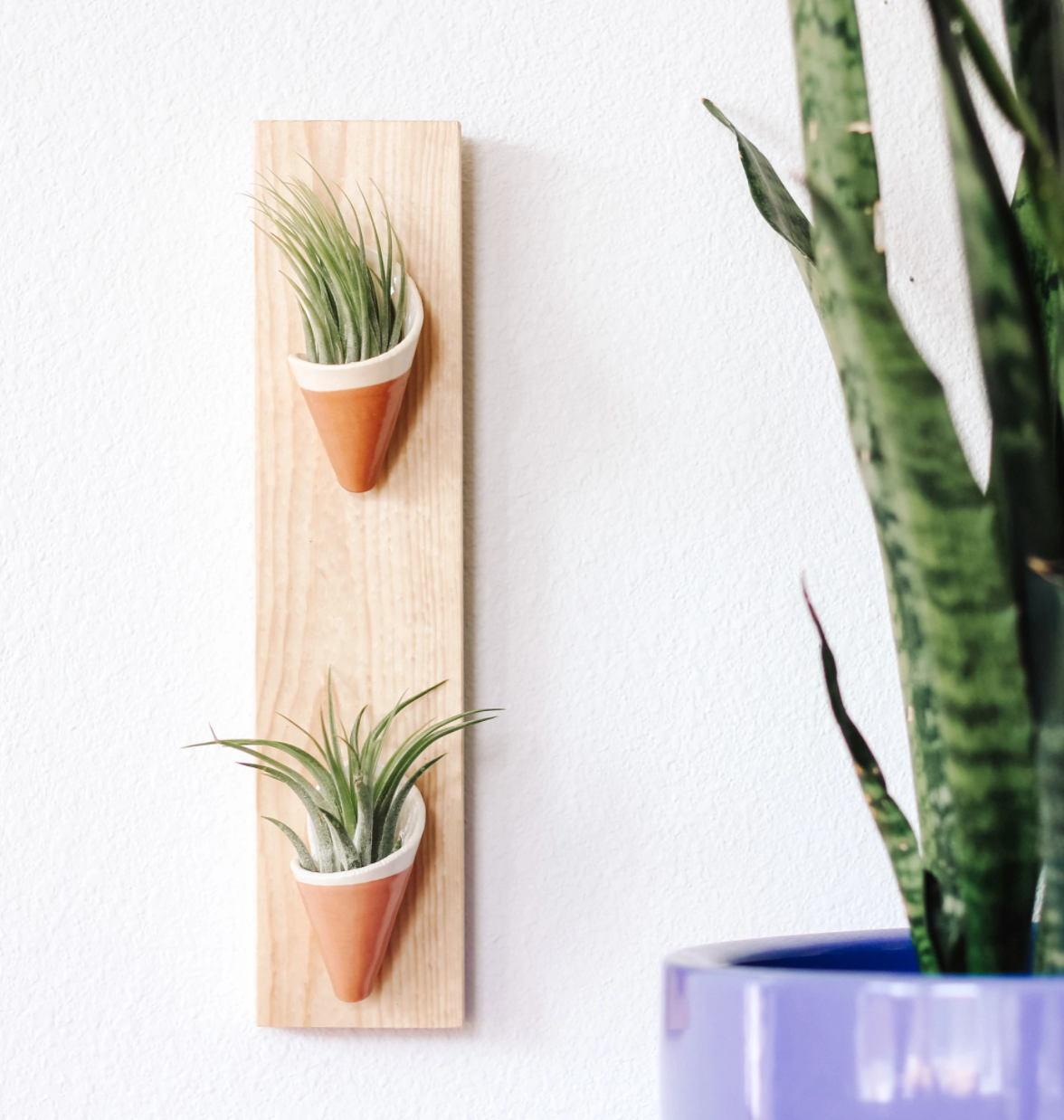 Double Cone Wall Planter